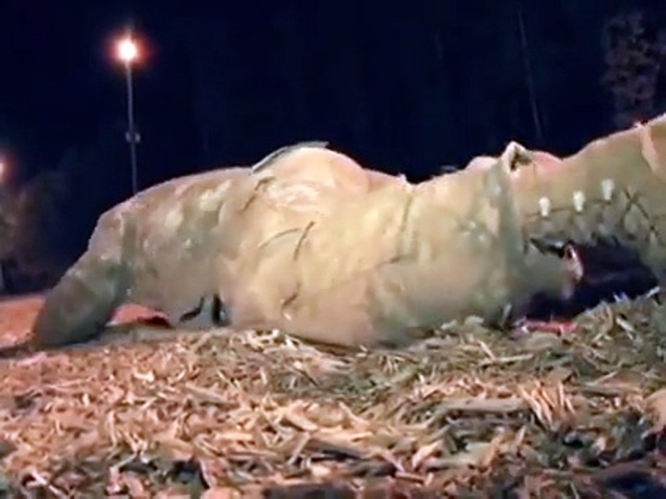 Why do Soldiers do PT, this is why