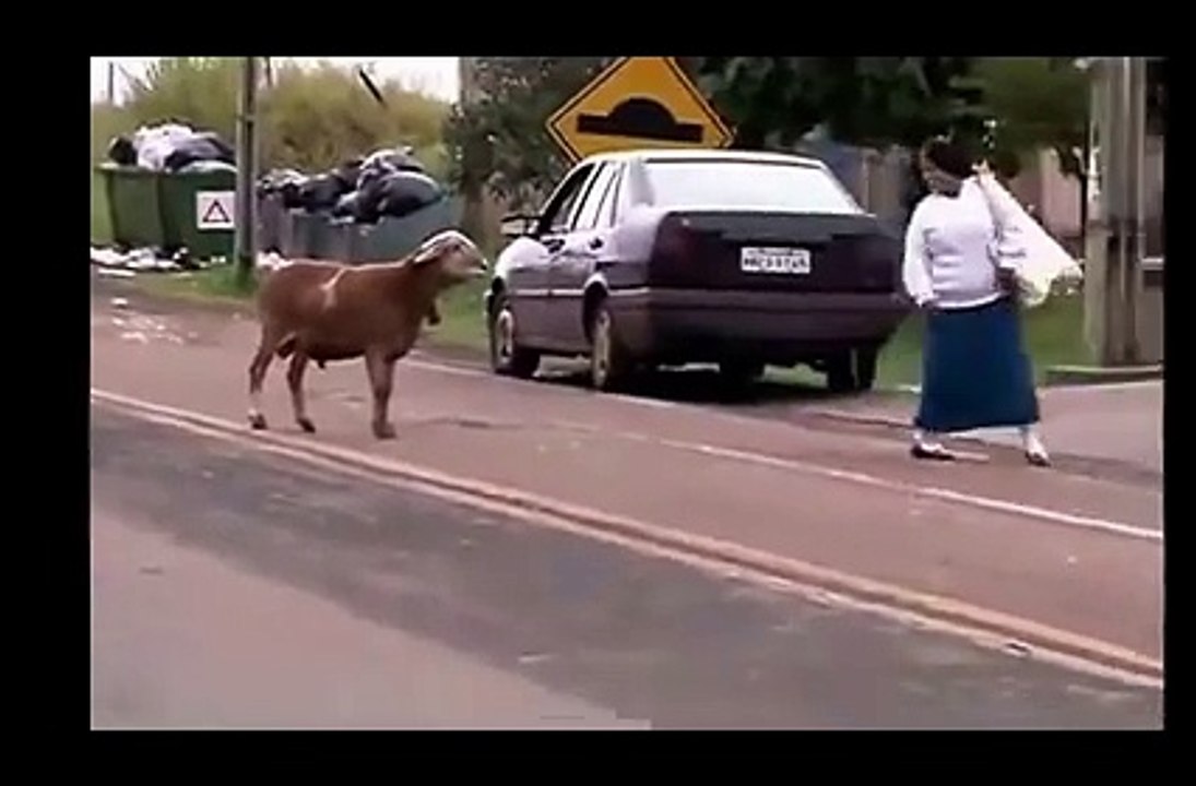 Funneist video ever - Watch & Enjoy