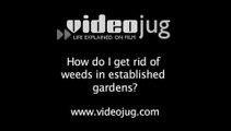 How do I get rid of weeds in established gardens?: How To Get Rid Of Weeds In Established Gardens