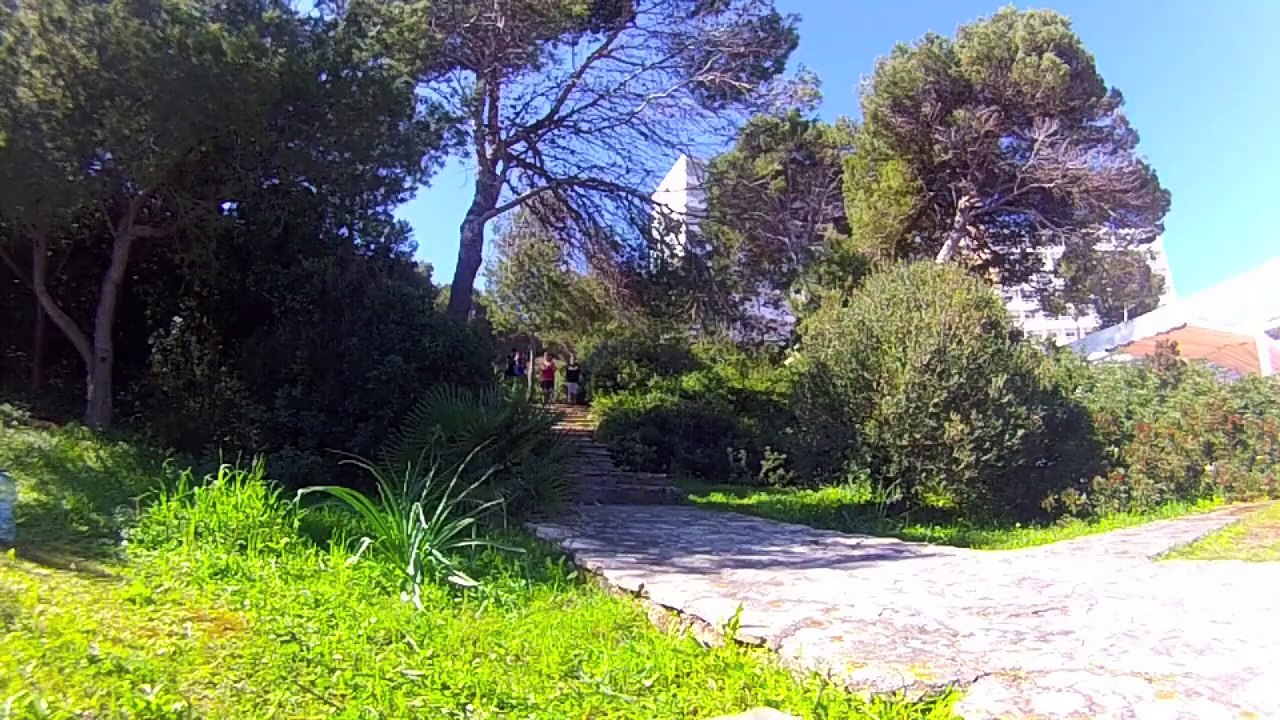 TSC Mainz - Mallorca 2015