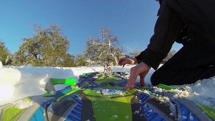 Un petit chien fait du snowboard