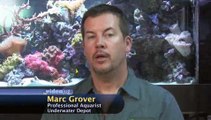 What is a 'BIO-wheel' for an aquarium?: Aquarium Filter Basics