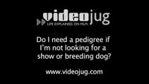 Do I need a pedigree if I'm not looking for a show or breeding dog?: Finding A Dog