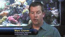 Why do I need to check the 'salinity level' or 'gravity' of water of my saltwater aquarium?: Water Chemistry Basics