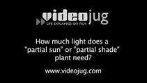 How much light does a 'partial sun' or 'partial shade' plant need?: Plant Light Needs