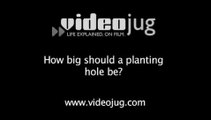 How big should a planting hole be?: Garden Planting