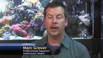 Generally, how do filters work in an aquarium?: Aquarium Filter Basics