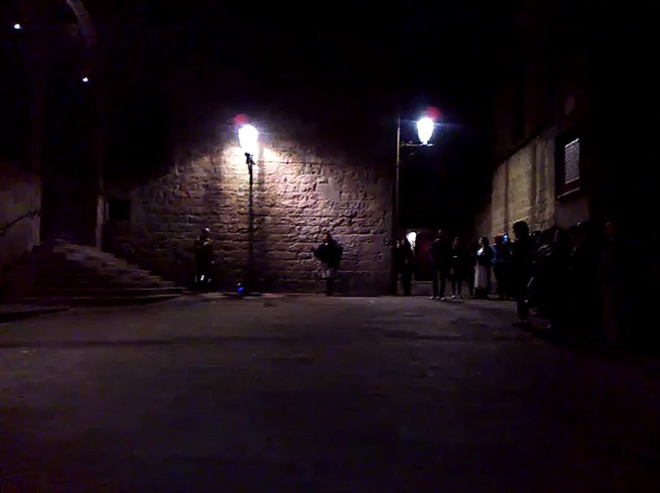 Capsula N° 11 L'amour est un oiseau rebelle