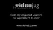 Does my dog need vitamins to supplement its diet?: Feeding Your Dog