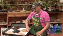 How To Get The Best Soil for Bonsai Trees