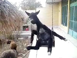 Am so lonely bro can i angle.