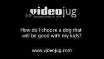 How do I choose a dog that will be good with my kids?: Choosing A Dog