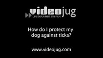 How do I protect my dog against ticks?: How To Protect Your Dogs Against Ticks