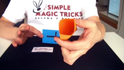 Simple Mind Magic Tricks Revealed - "5 ESP Control" - video dailymotion