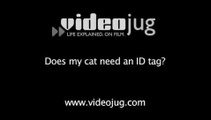 Does my cat need an ID tag?: Responsible Cat Ownership
