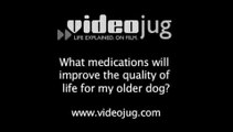 What medications will improve the quality of life for my older dog?: Older Dogs And Diseases