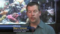 What are the pros and cons of adding plants to my aquarium?: Aquarium Plants And Invertebrates