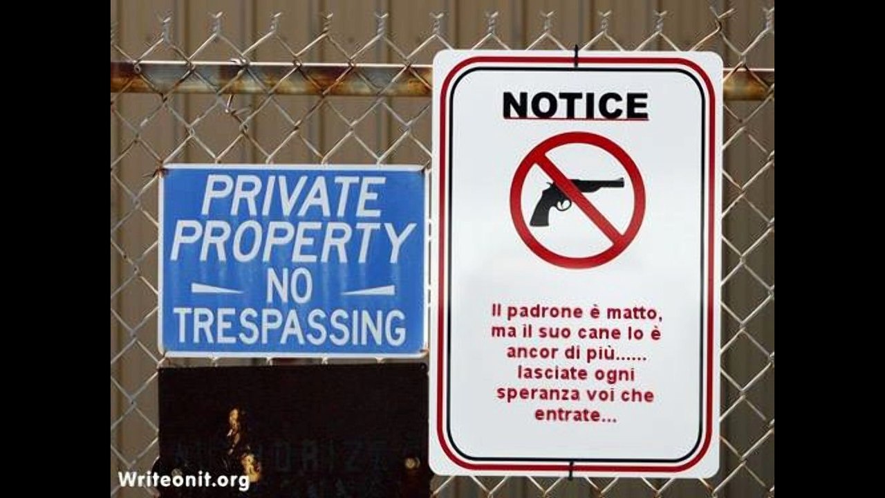 Sascia Spaccatutto Demolitiondog