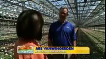 North Carolina's Automated Metrolina Greenhouse - America's Heartland