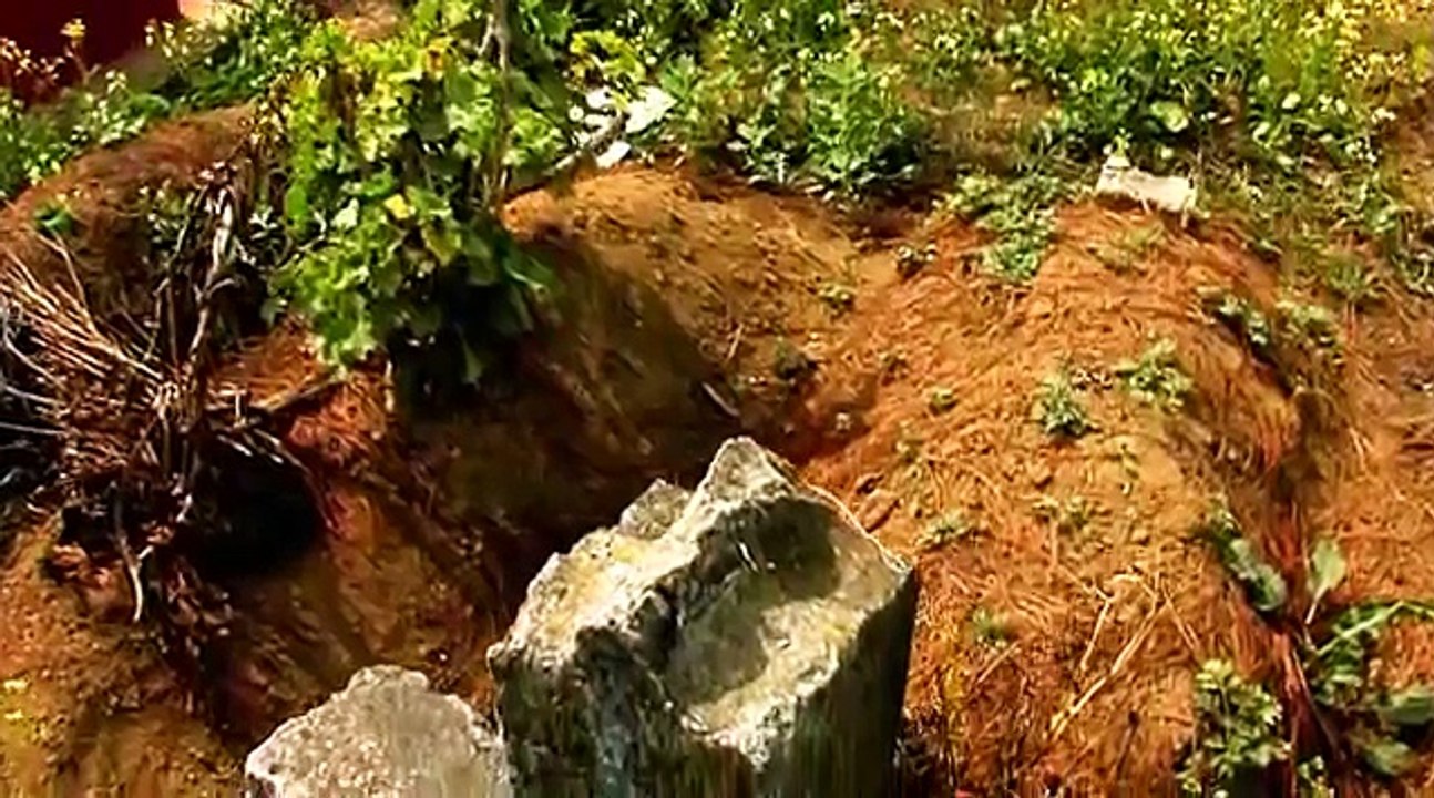 Testimonios Guerra Guatemala