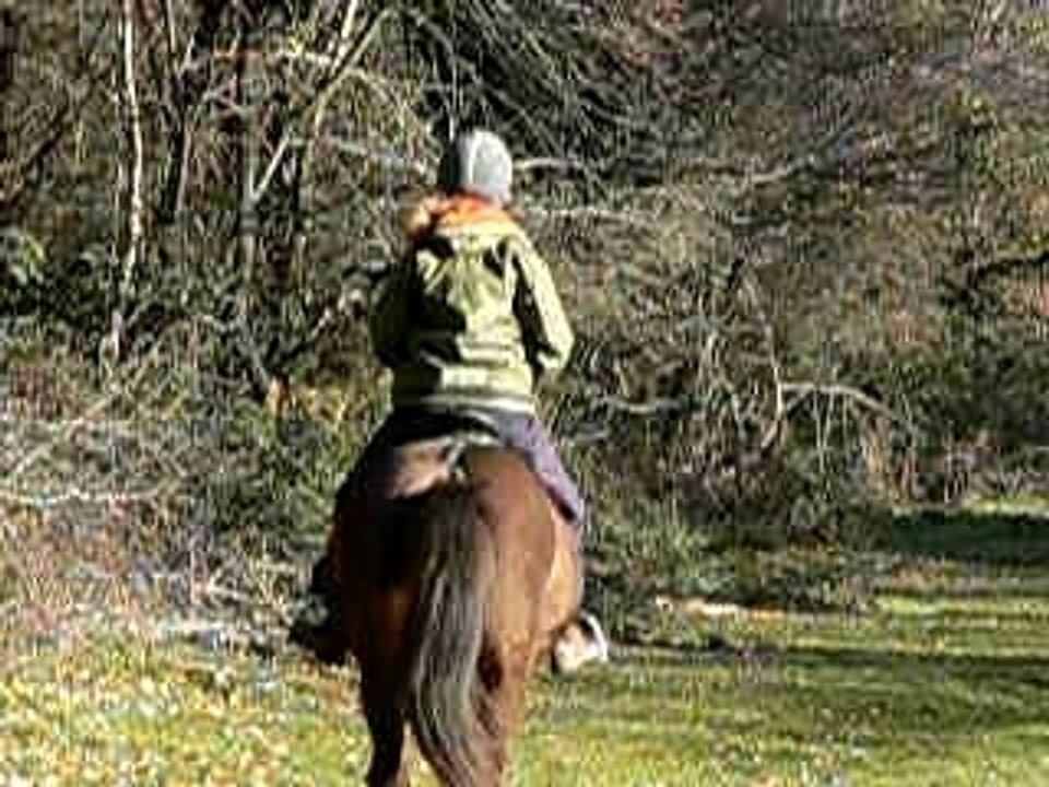 Kenny au galop