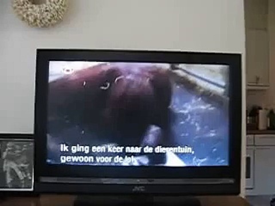 the planet`s funniest animals[2]