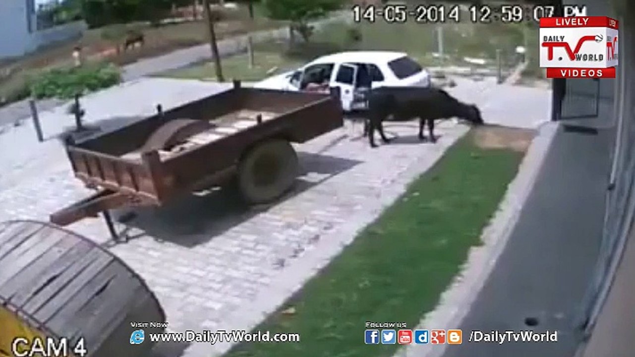 The perfect crime done in less than 60 seconds