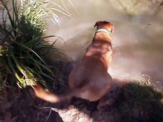 Eros aux Sources de l'Huveaune 11-04-2015