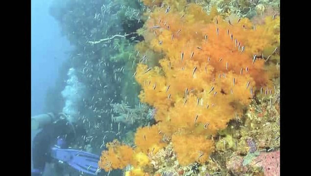 What could happen in the 21st century if temperatures continue to rise?: Global Warming Basics