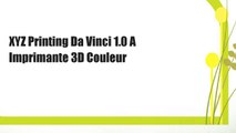 XYZ Printing Da Vinci 1.0 A Imprimante 3D Couleur