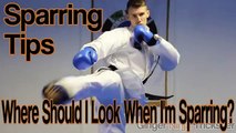 Sparring Tips   Where to Look When Sparring