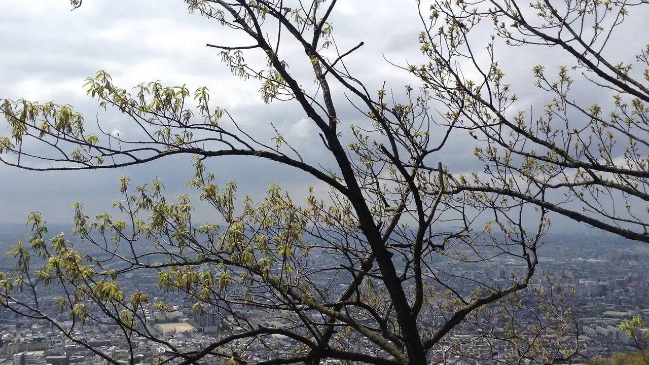 高尾山　平野・大県古墳群