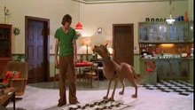 Scooby-Doo - Burp/Fart Off