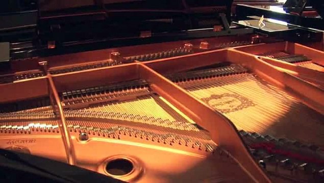 What are 'piano strings'?: Piano Parts