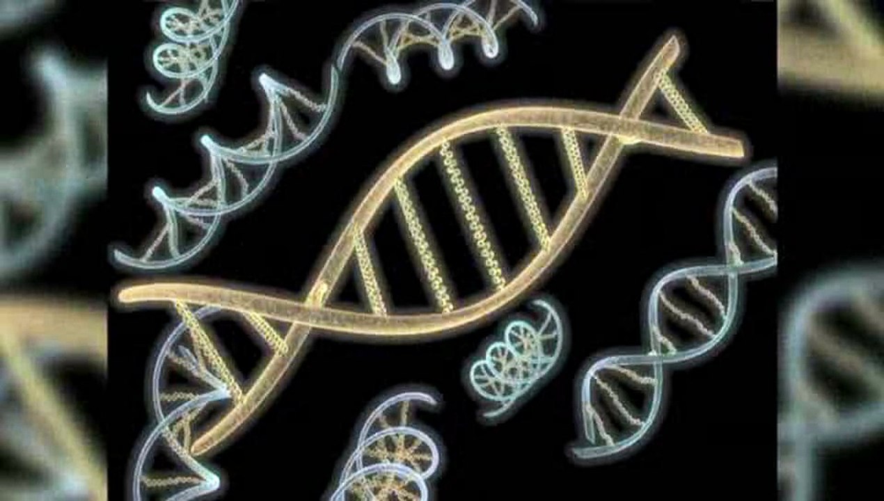 How is a PCR DNA test done for CSI?: CSI And DNA