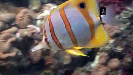 A Guide To Touring London's 5 Great Attractions