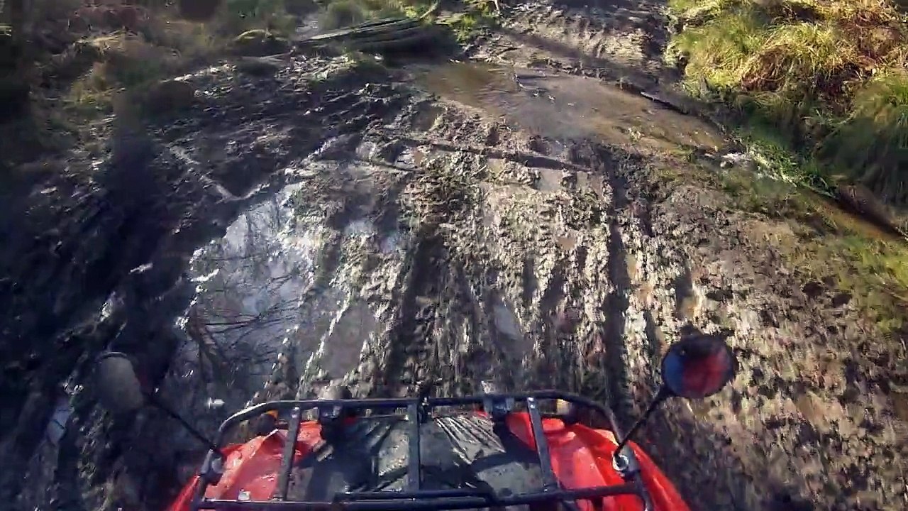 QUAD YAMAHA GRIZZLY 300