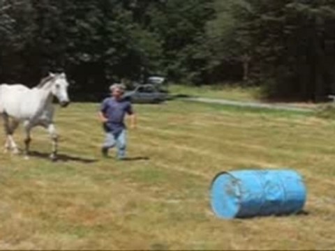 Saut bidon en ethologie