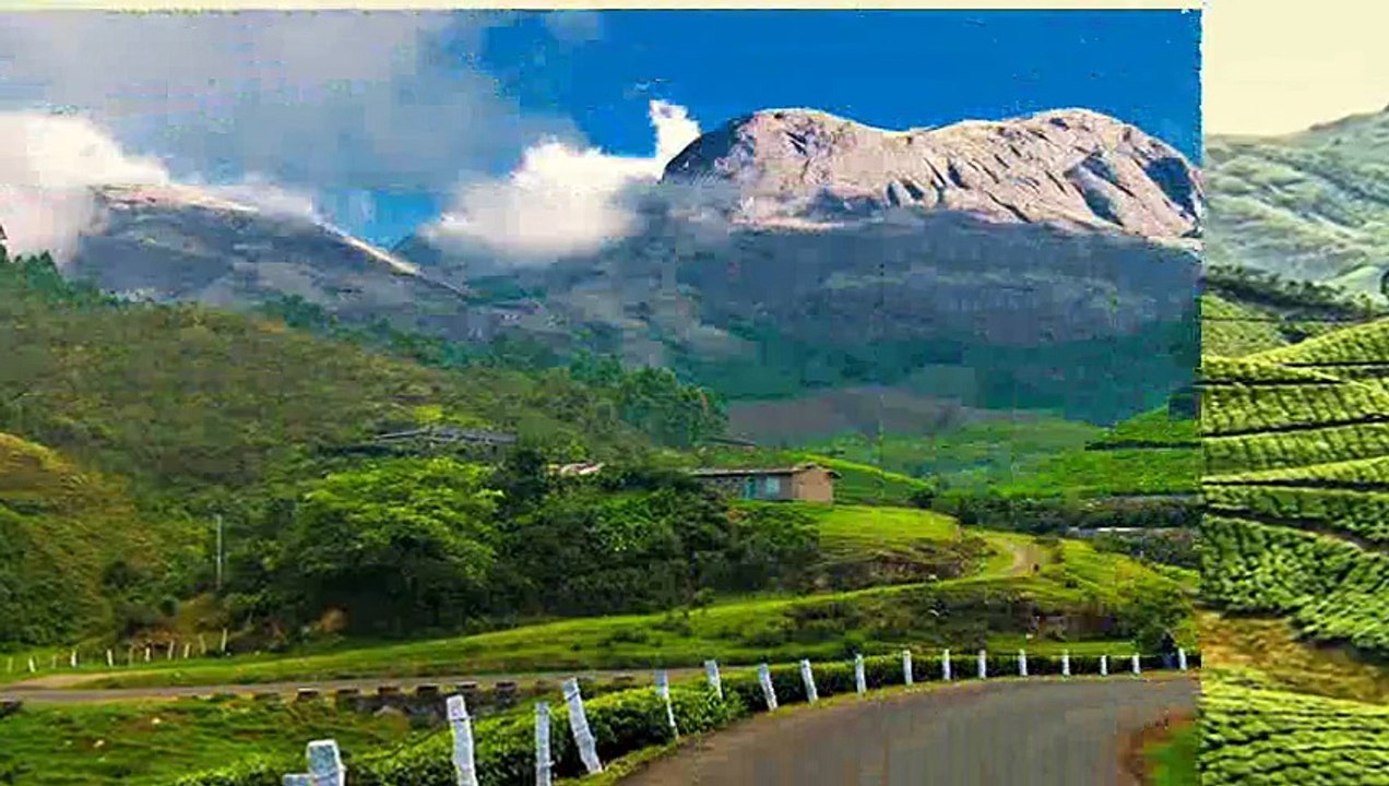 Munnar -  Kerala, India