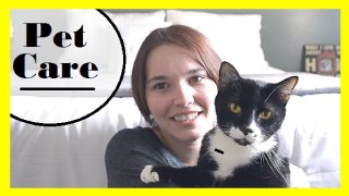 Pet Care | Cat FAQ