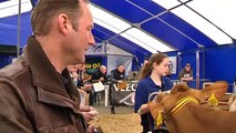 Wie kan het beste koeien beoordelen? - RTV Noord