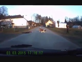 Ce que va VOIR cet homme en rentrant chez lui est DINGUE !