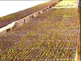 Modernisation de l'Agriculture en Algérie