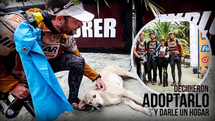 ARTHUR el Perro Ecuatoriano (Toda su historia y su viaje que le cambió la vida hecho película HD)