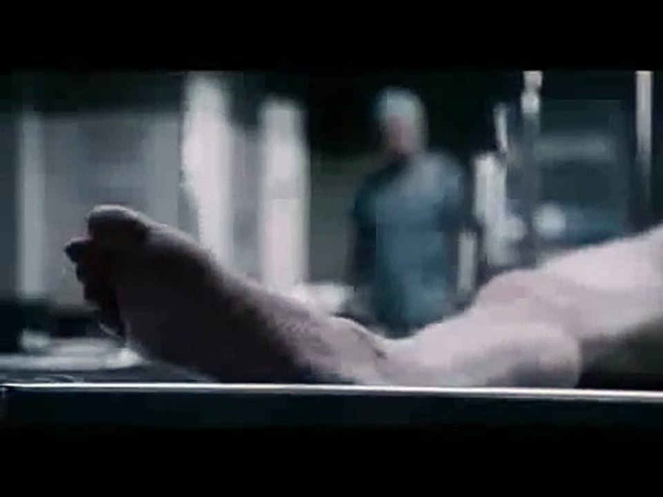 real autopsy .mp4