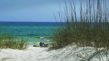 #1 Relaxing FLORIDA BEACHES w/ Ocean Sounds Panama City, Destin, Clearwater for studying study to HD