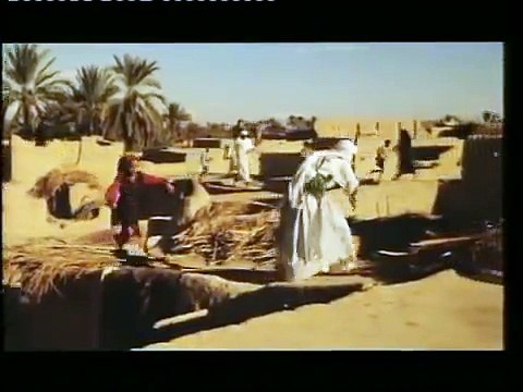 Michel Sardou - Musulmanes