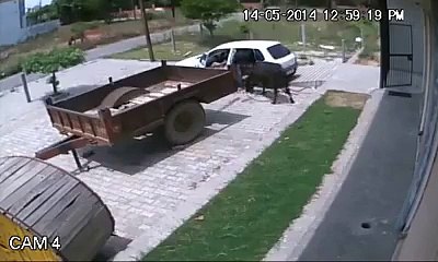 I can't belive that hahahah