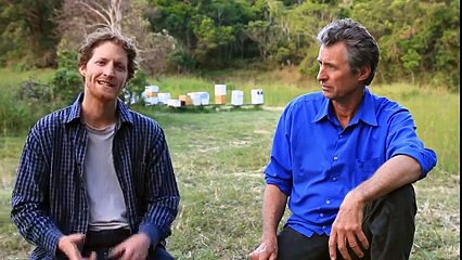 PURE HONEY production