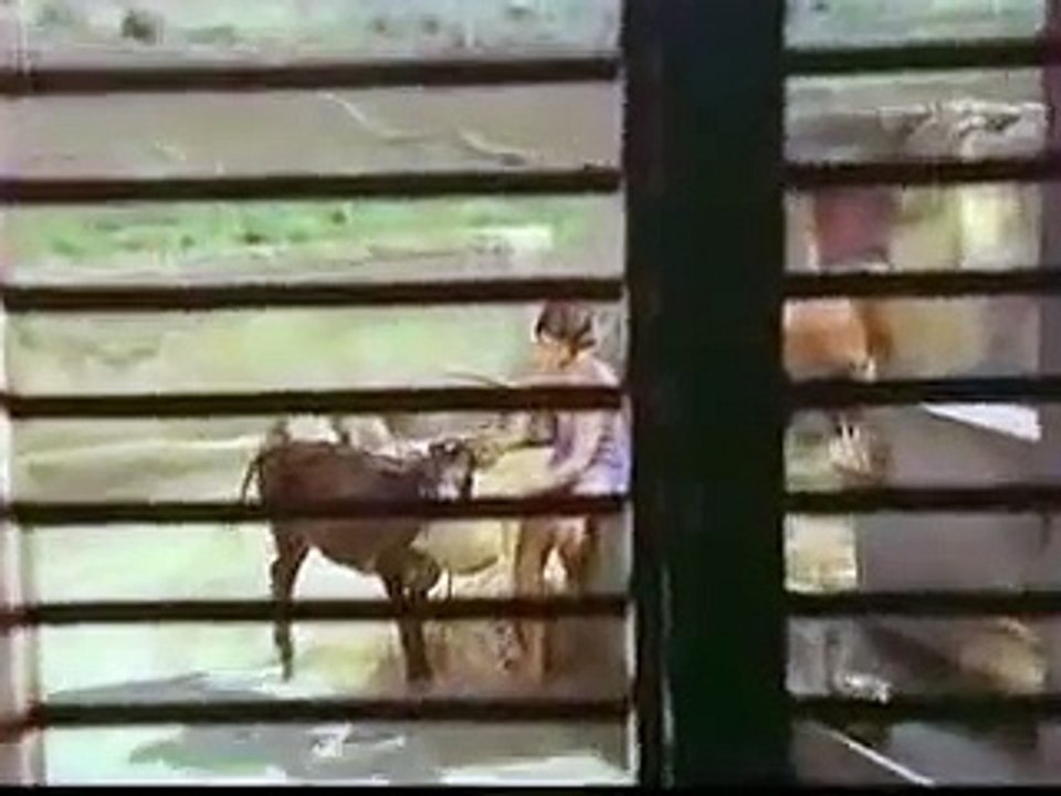 Kamal turns to the dark side 2 - Sivappu Rojjakkal
